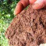 Почвы Что такое верхний слой почвы
